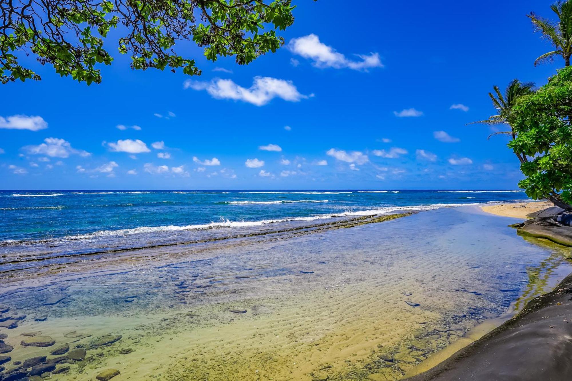 カパアKauai Kalaniアパートメント 部屋 写真